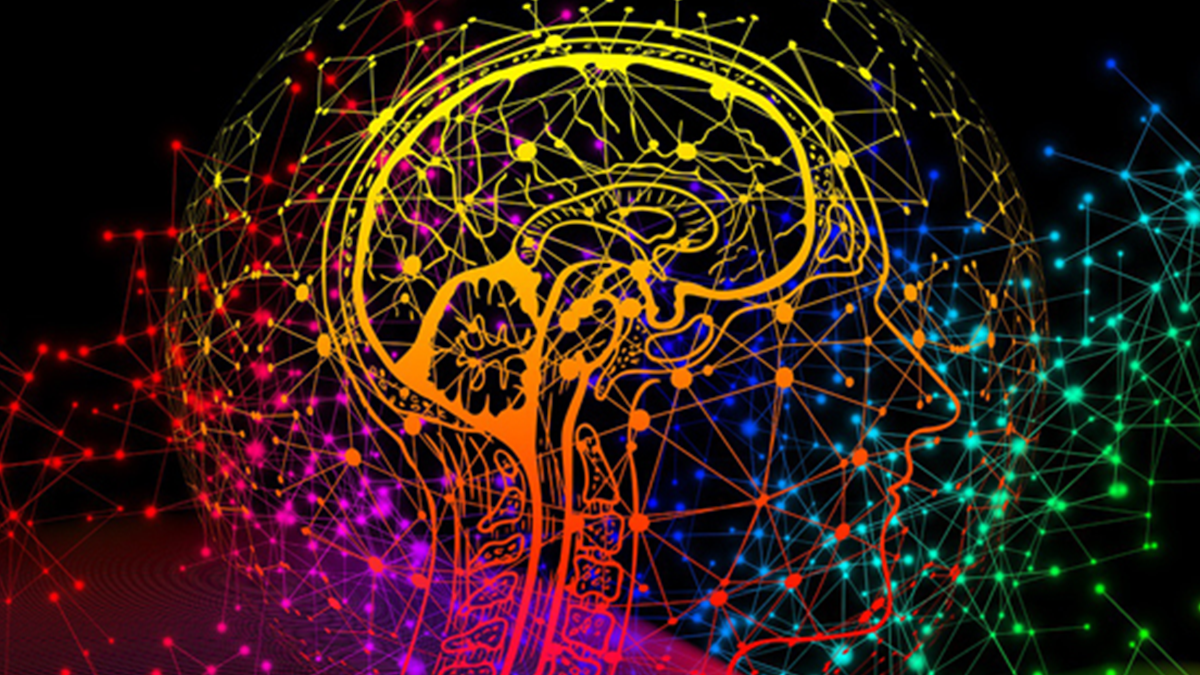 Illustration of the brain with colourful details